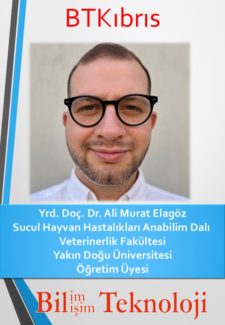 Yazar